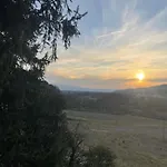 Oasi Gioia *
