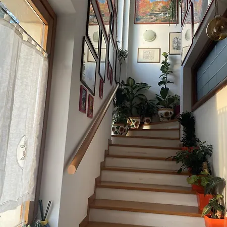 Oasi Gioia Campeggio Vescia