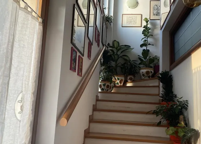 Oasi Gioia مكان تخييم Vescia