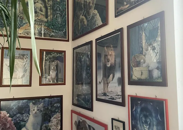 Oasi Gioia Campeggio Vescia